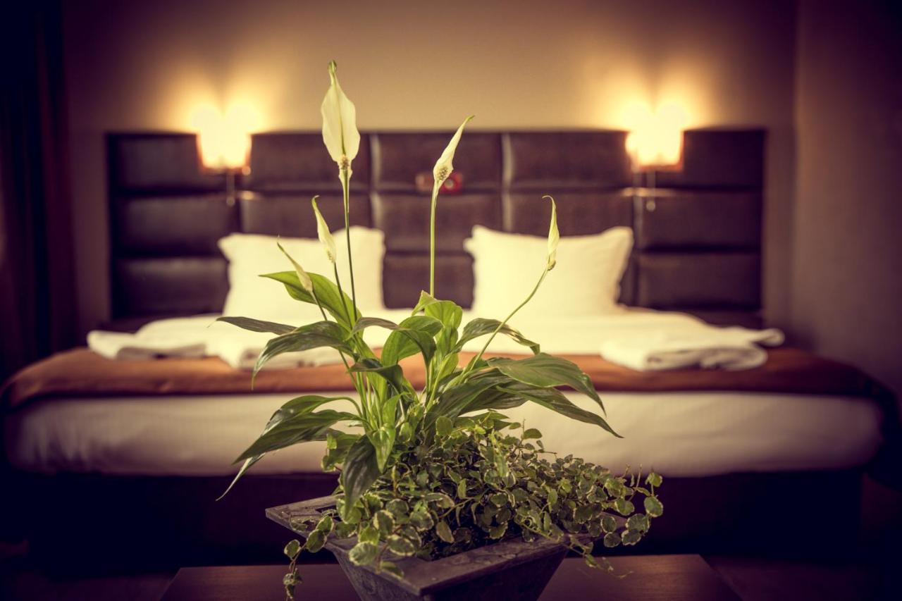 Zdravets Spa Hotel 韦林格勒 外观 照片